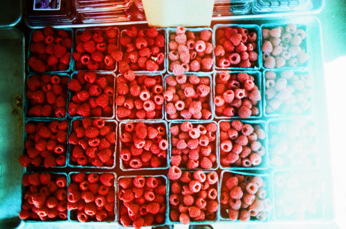 twistytwirls:  (by Džesika Devic) 