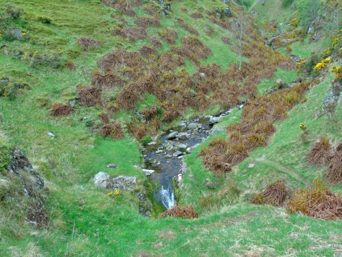 Hill walk in the Ochils from  Tillicoultry.As we leave the burn and it’s waterfalls behind, the hill