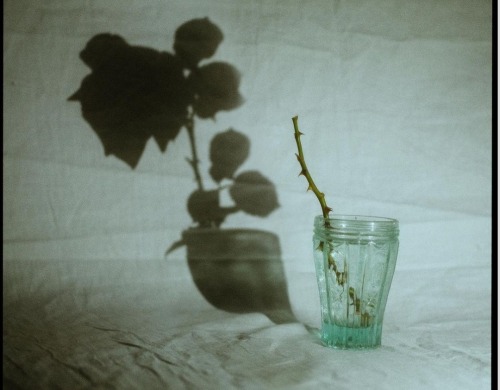 Please Don't Touch Me, 2021 By Luka Khabelashvili