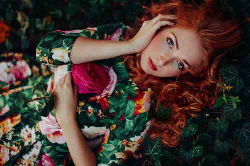 fairies,cats,scene-girls-and-tats