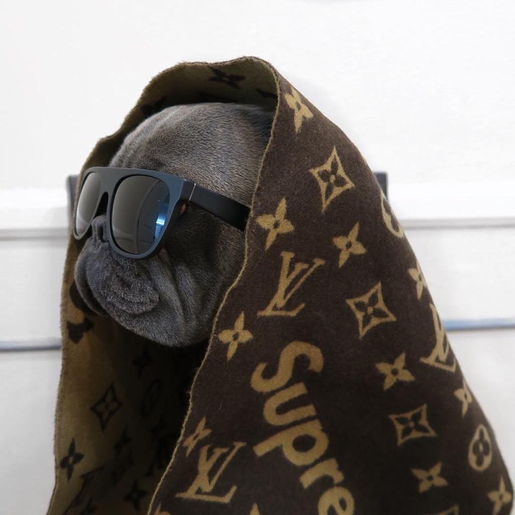 Louis Vuitton Supreme Pug Dog T-Shirt • Kybershop