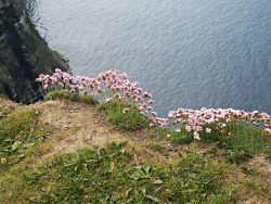 frammentidiluna:  On the Atlantic Ocean. 