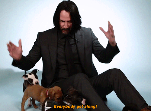 green-blooded-hobgoblin-and-jim: justiceleague:   Keanu Reeves Plays With Puppies While Answering Fan Questions Reblogging this for the millionth time. I love him <3  