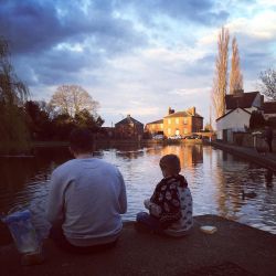 Feeding the ducks this evening 💗💗 by