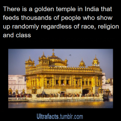 ultrafacts:This temple is called the Harmandir