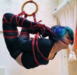 Socks and Shibari