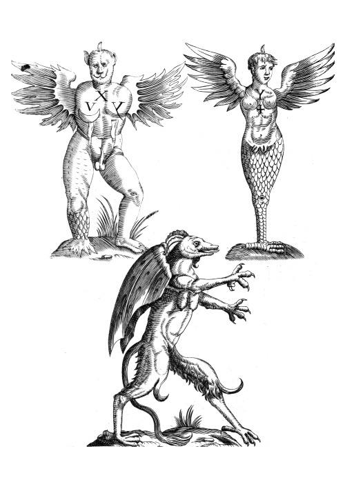 deathandmysticism:Gaspar Schott, Physica Curiosa, 1662