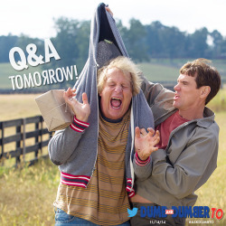 dumbtomovie:  Tomorrow, @JimCarrey &amp; @JeffDaniels are answering all you’re questions! Tweet and tag #AskDumbTo to join the dumb!  