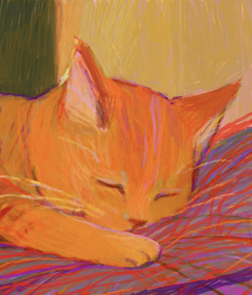 doomhope:

[ID: Vibrant, warm toned painting of an orange striped cat laying asleep on a pillow with one paw set on the surface next to their face. /End ID] #:) #would die for this little guy