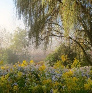 cranberried:  country skies moodboard 