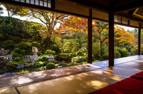 ileftmyheartintokyo:  momiji ‘13 - autumn leaves #33 (Jikkou-in temple, Kyoto) by Marser on Flickr.