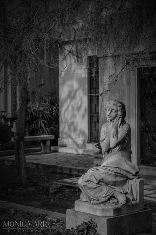 monicaarrue:PH Monica Arrue Fotografía