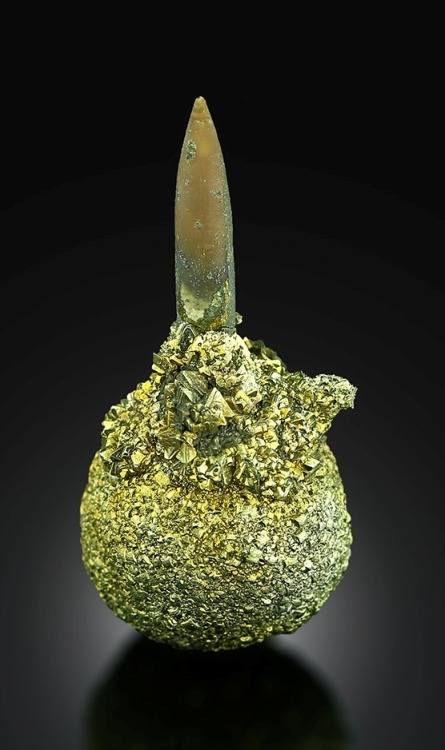 bijoux-et-mineraux:Pyrite with a Belemnite Fossil - Dzheganas River, Northern Caucasus, Russia      