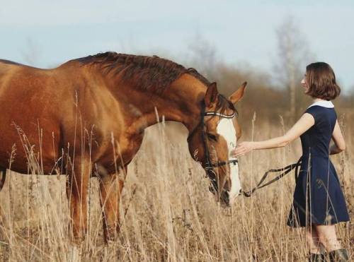 Tagil 307Tibul x GutsulkaRussian Don, Stallion16.3hhBorn 2007