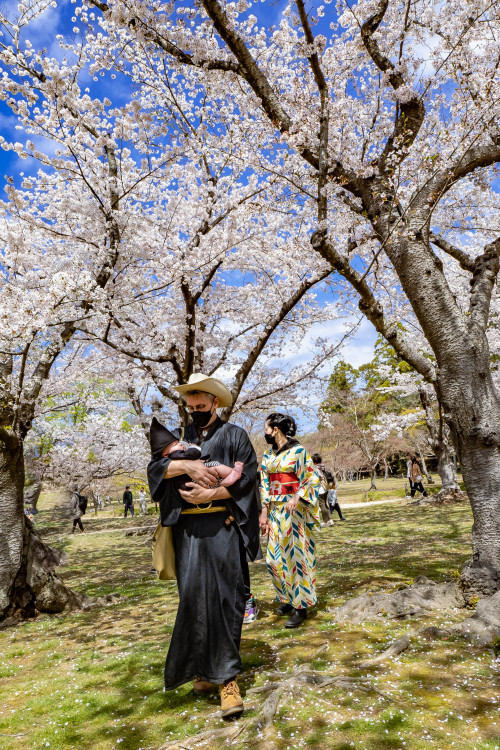 桜の園