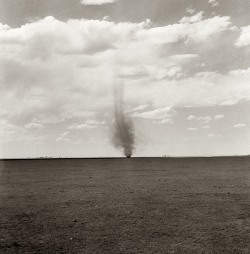 missfolly:  David Myers: Texas Whirlwind,