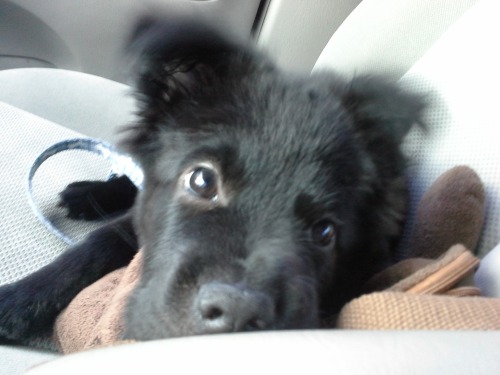 Close upppps! AM I TOO CLOSE TO YO FACEEE MOMMYYY??? TOO BAD CUZ I WUV YU.