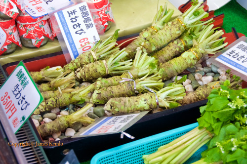 Fresh wasabi. Wasabia japonica. I can guarantee if you’ve never been to Japan, you’ve never eaten wa