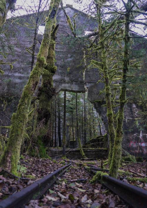 Abandoned Porn