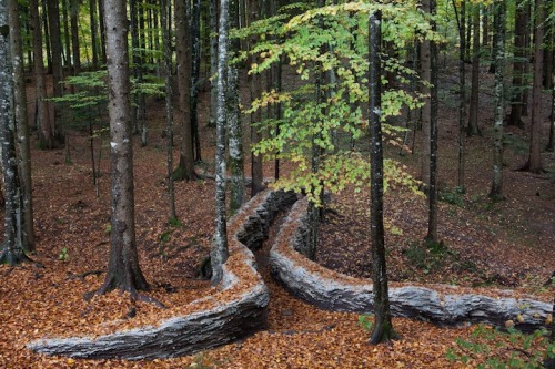 ccephalopod:  therhumboogie:  The Arte Sella, looks to be one of the most magical, fairytale woodlands in the world. Since 1986 this astounding destination in the Sella Valley in Italy has been dotting the landscape with the amazing works of over 200