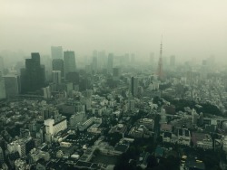 david:  Waiting out the typhoon