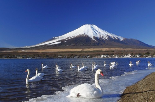 zekkei-beautiful-scenery:  Mt.Fuji Japan 富士山 日本の絶景 Zekkei Beautiful Breathtaking Scenery をアップ♫Oct.25 2013 03:15 画像→ 