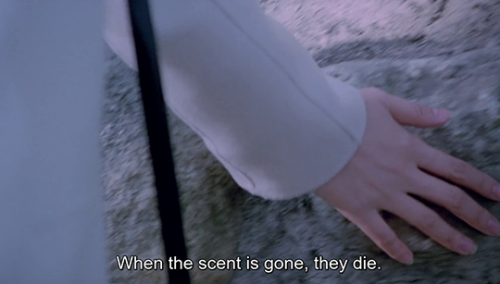 Ditto (Kim Jeong-kwon, 2000)