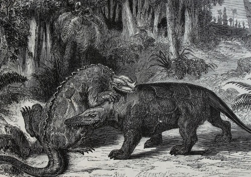 magictransistor:  Édouard Riou, Voyage au centre de la Terre (Journey to the Center of the Earth), Jules Verne, 1864.