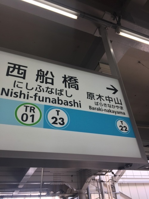 tokyomicma:  cherry blossoms + a taste of my commute home