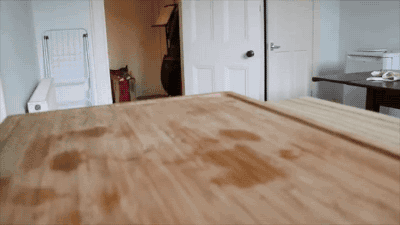jaidefinichon:Tortoise Unboxing. [video]