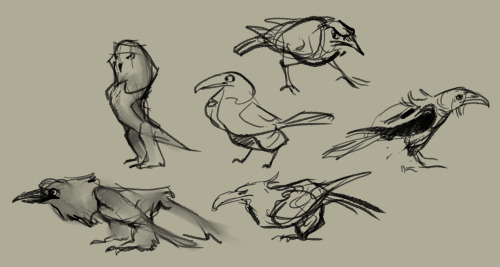 fablepaint:  Been a bit busy today. Have some of today’s warmup / character concepts. Noodling out a lot of different kinds of corvids so I get used to distinguishing between species and personalities. (the owl thing and eagle are obviously not corvids,