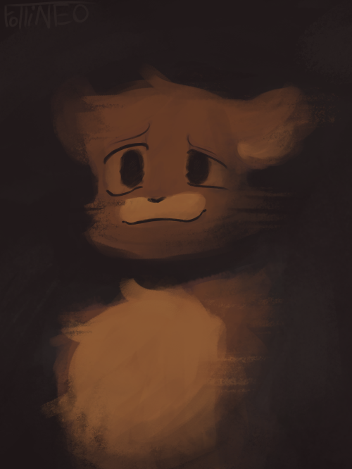 Void