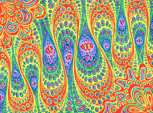 trippcityyyy:   