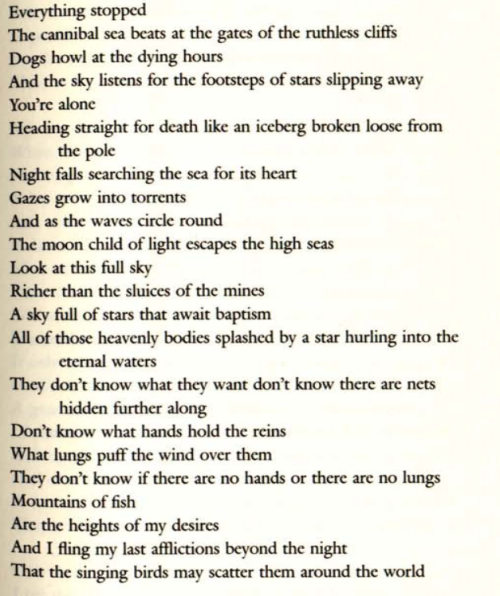 cryptomnesia:from Altazor, or a Voyage in a Parachute. A poem in VII cantos, Vincente Huidobro.trans