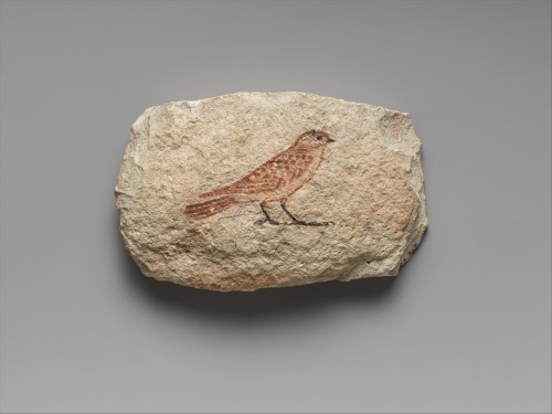 fuckyeahwallpaintings:Artist’s Sketch of a Swallow, Thebes, Egypt, ca. 1479–1458 B.C.Lim