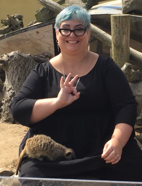 Holly and this meerkat would like you to know that MAGISTERIUM: THE BRONZE KEY comes out in three days! Three!
A snippet:
The snake’s head slithered out of the hole just as Call’s hand skimmed the edge. It was the bright green of poison, with black...