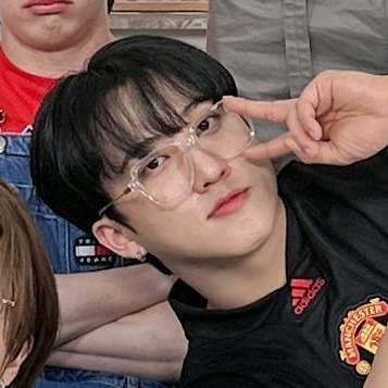 Stray Kids Matching Icons/metadinhas.