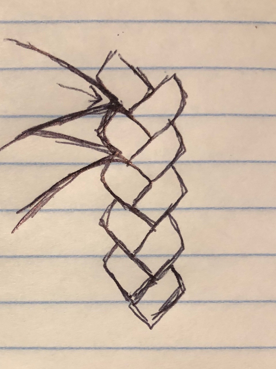 french braid drawing