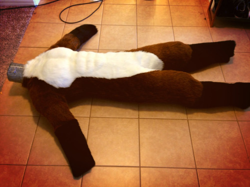 Body with abs/pec padding and digitigrade for Felix Fox. :) &ndash; Lacy &amp; Nick www.Furs