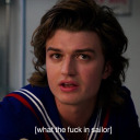 steve harrington is so babygirl