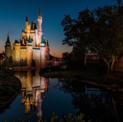 disney–world–magic:  Good morning! 