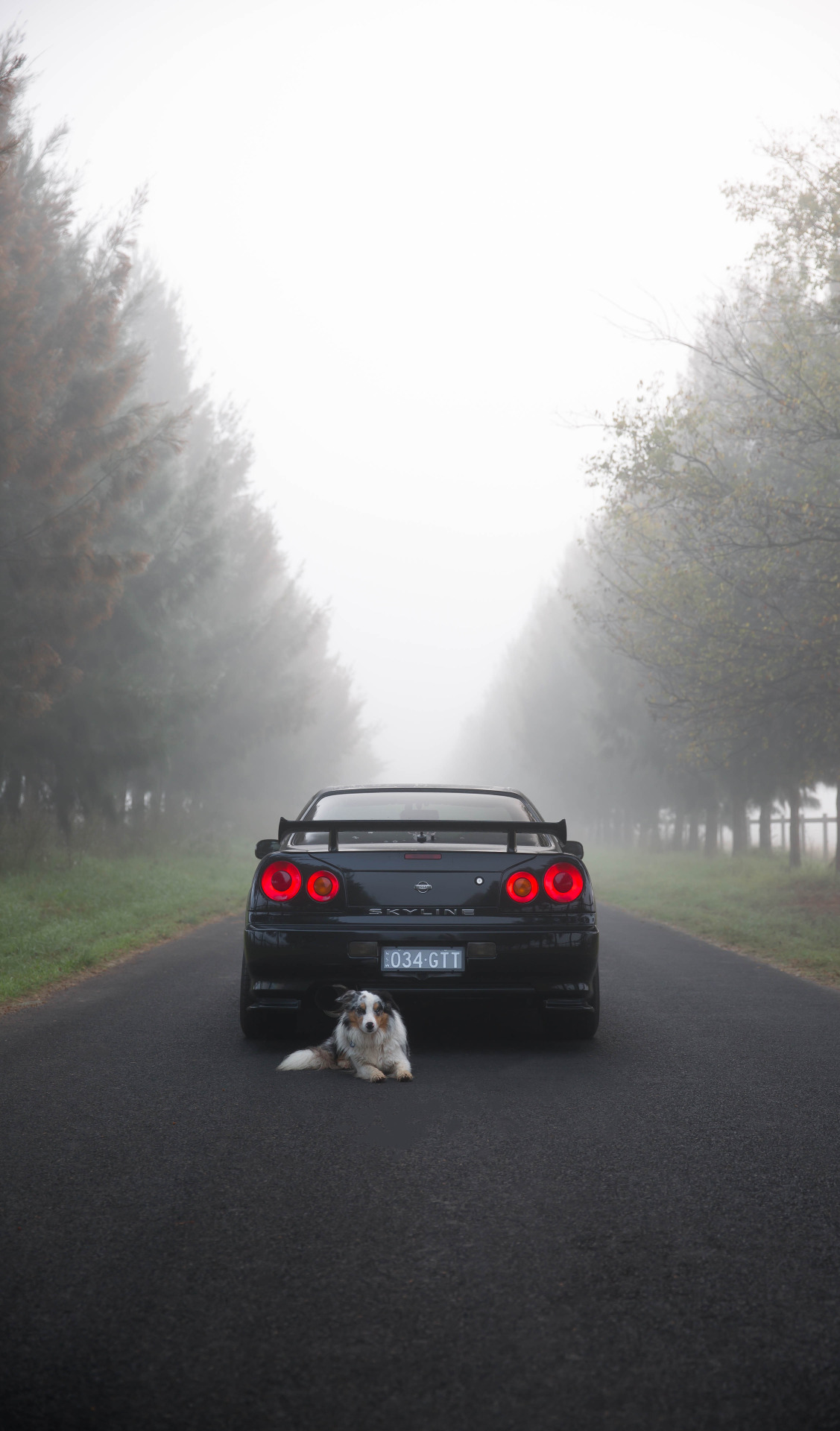 jazzabel:  Misty 34