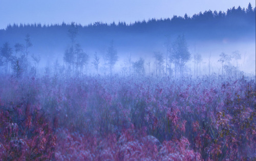 milamai: Pagan Poetry