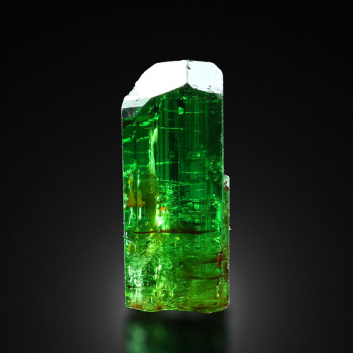 hematitehearts:Tourmaline var. Chromium - DraviteSize:2.4 × 1.1 × 1.1 cmLocality: C