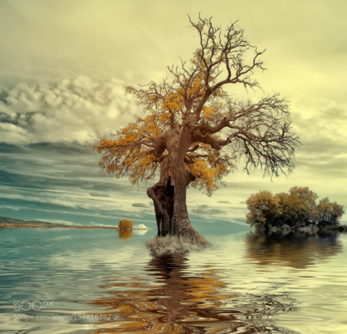 Memento by Fotoaguado
