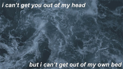 shybabyluke:  neck deep // silver lining