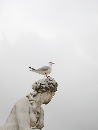 arpeggia: Munemasa Takahashi - Birds on The Heads