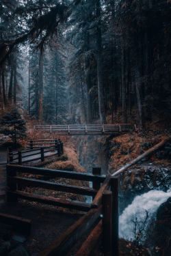 j-k-i-ng:  “Fairytale Forest at Sol Duc