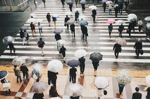 . 「Photograph life」 . . (Osaka, Japan)