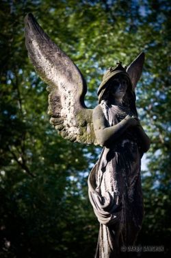 A stone angel in the castle of Vysehrad in Prague, Czech RepublicArt Nouveau Statue | Love In A Rose | Viena, Austria | Photo by onkel_wart (Thomas Lieser) on September 20, 20008 via Flkr cherubaccents.comlisahewitt.tumblr.combeattitudesgift.com  moonmaga